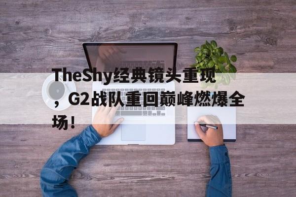乐鱼官方网站-TheShy经典镜头重现，G2战队重回巅峰燃爆全场！