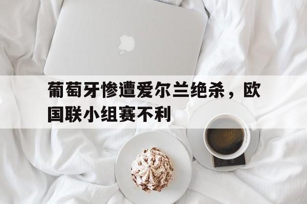 乐鱼登录-葡萄牙惨遭爱尔兰绝杀，欧国联小组赛不利